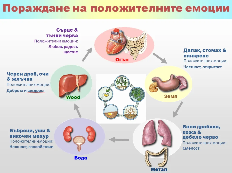 Шестте лечебни звука: инструкции за изпълнението им 15