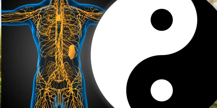 Три даоски практики за изчистване и поддържане на лимфната система (видео) 1 Три даоски практики за изчистване и поддържане на лимфната система (видео)