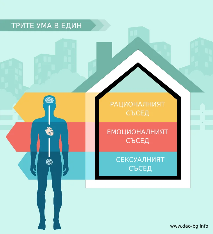 Дантиен (Dan Tian - Поле на еликсира) 1 Дантиен (Dan Tian - Поле на еликсира) 1