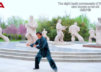 Чън Джънлей - един от топ 10 китайски Кунгфу майстори 4