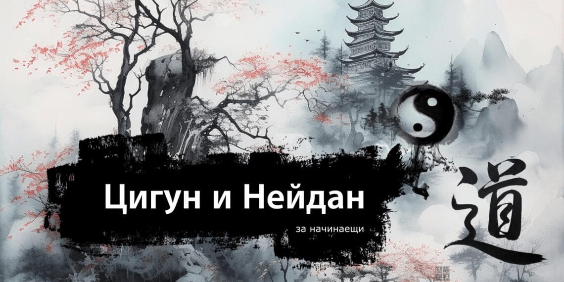 Цигун и Нейдан за начинаещи в София 1
