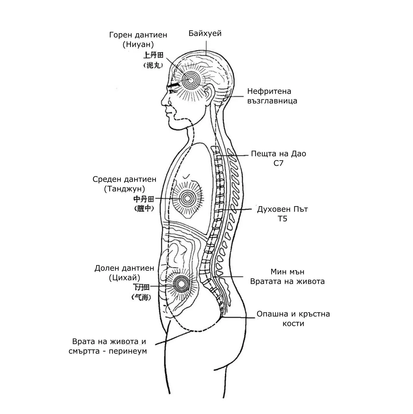 Даоска медитация 12 мита за И дзин дзин: кой и къде бърка по отношение на Класически трактат за промяна на мускулите и сухожилията 8