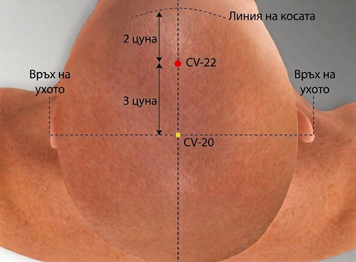 И Дзин Дзин трета позиция: Дланите поддържат небесната порта 7 И Дзин Дзин трета позиция: Дланите поддържат небесната порта 7